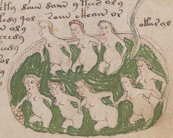 Wizerunki nagich kobiet w "Manuskrypcie Wojnicza" okazały się kluczowe dla najnowszej teorii wyjaśniającej jego pochodzenie.