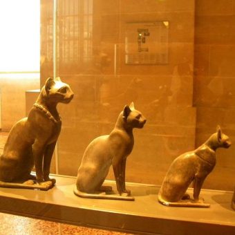 Starożytne egipskie figurki kotów z Muzeum w Luwrze.