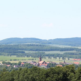 Widok Niemczy z Arboretum w Wojsławicach