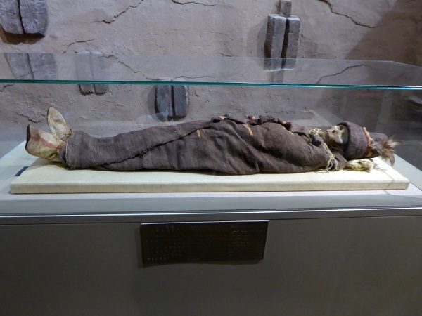 Mumia znaleziona w Azji. (fot. Hiroki Ogawa. lic. CCA 3.0)