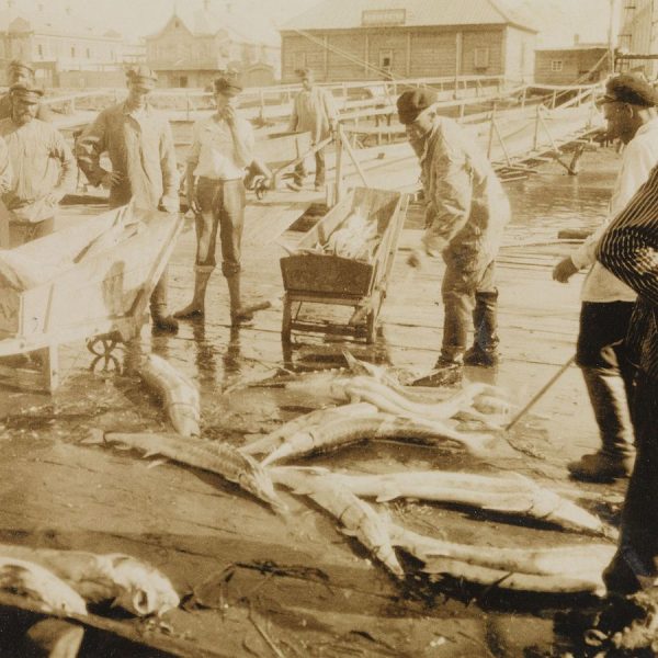 Ożywienie w rosyjskiej gospodarce widoczne było od razu. Na zdjęciu gruzińscy rybacy podczas połowów.