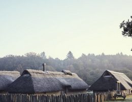 Zrekonstruowana średniowieczna duńska osada. (fot. Velje Museums)