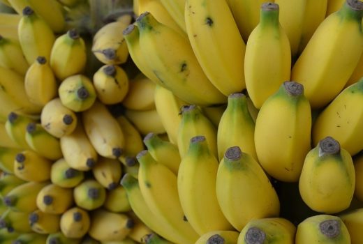 Banany, podobnie jak cytrusy, stały się za komuny symbolem statusu. Bananowa młodzież były to dzieci osób, które było stać na takie "ekstrawagancje" (fot. Avanysathya, lic. CC0)