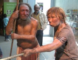 Różne czynniki przesądziły o tym, że homo sapiens wyparli neandertalczyków (fot. UNiesert, lic. CCA-SA 3.0 U)