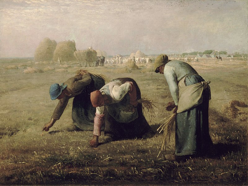 Czy to właśnie folwarki były podstawą gospodarki I RP? Na zdjęciu Jean-François Millet Kobiety zbierające kłosy, 1857.