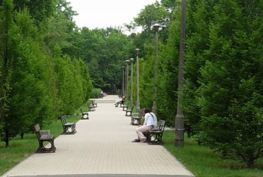 Park Witosa w Bydgoszczy (fot. Pit1233, lic. CC0)