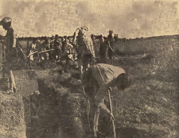 Do budowy umocnień mających powstrzymać pochód Armii Czerwonej zmuszono dziesiątki tysięcy Polek i Polaków. Powyżej zdjęcie z gadzinowego "Gońca Krakowskiego", na którym uwieczniono kopanie okopów na przedpolach Krakowa.