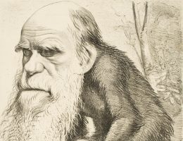 Teoria Darwina była komentowana także w prasie... między innymi przez karykatury, ukazujące głowę jej twórcy osadzoną na ciele małpy.