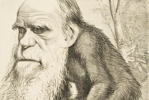 Teoria Darwina była komentowana także w prasie... między innymi przez karykatury, ukazujące głowę jej twórcy osadzoną na ciele małpy.