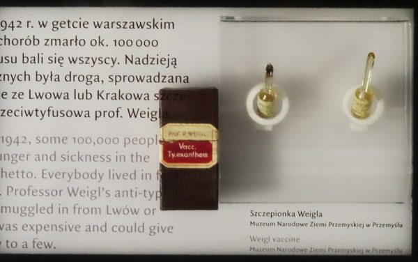 Szczepionka przeciwtyfusowa prof. Rudolfa Weigla w Muzeum Historii Żydów Polskich w Warszawie.