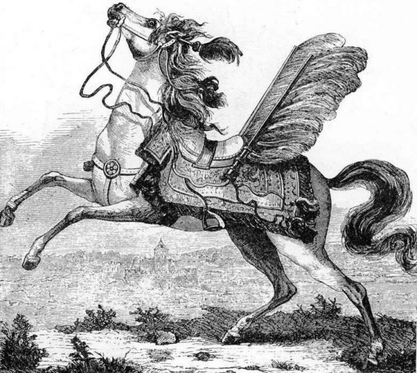 Zanim husarski koń wziął udział w bitwie przechodził długoletnie szkolenie. Na ilustracji wyobrażenie konia husarskiego z "Encyklopedii staropolskiej".