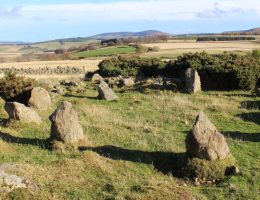 Kamienny krąg, który wzbudził tyle kontrowersji (fot. Neil Ackerman, Aberdeenshire Council Archaeology Service)