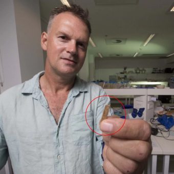 Geoffrey Clark z The Australian National University trzyma grzebień do tatuażu liczący 2700 lat (fot. Jack Fox, Australian National University )