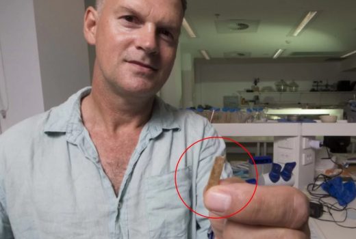 Geoffrey Clark z The Australian National University trzyma grzebień do tatuażu liczący 2700 lat (fot. Jack Fox, Australian National University )