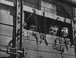 Żydzi w wagonie towarowym w drodze do obozu zagłady (fot. domena publiczna)