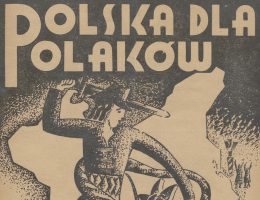 W dwudziestoleciu międzywojennym wielu Polaków wyznawało poglądy antysemickie. Wydawano nawet specjalne czasopisma, takie jak „Polska dla Polaków: pismo walczące z żydokomuną w interesie narodu polskiego”.