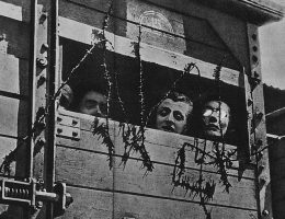 Akcja „Reinhardt”. Żydzi w wagonie towarowym w drodze do obozu zagłady.