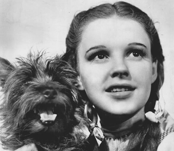 Judy Garland to jedna z najbardziej rozpoznawalnych aktorek w historii kina